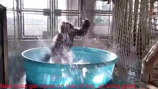 Hot Tub Twitch Is Popping Off Right Now